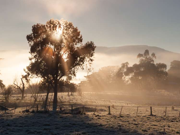 Outer Suburb beautiful scene